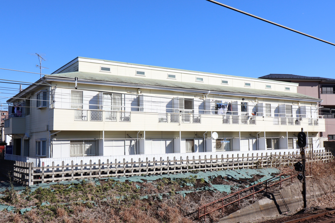 ホワイトシャンテ